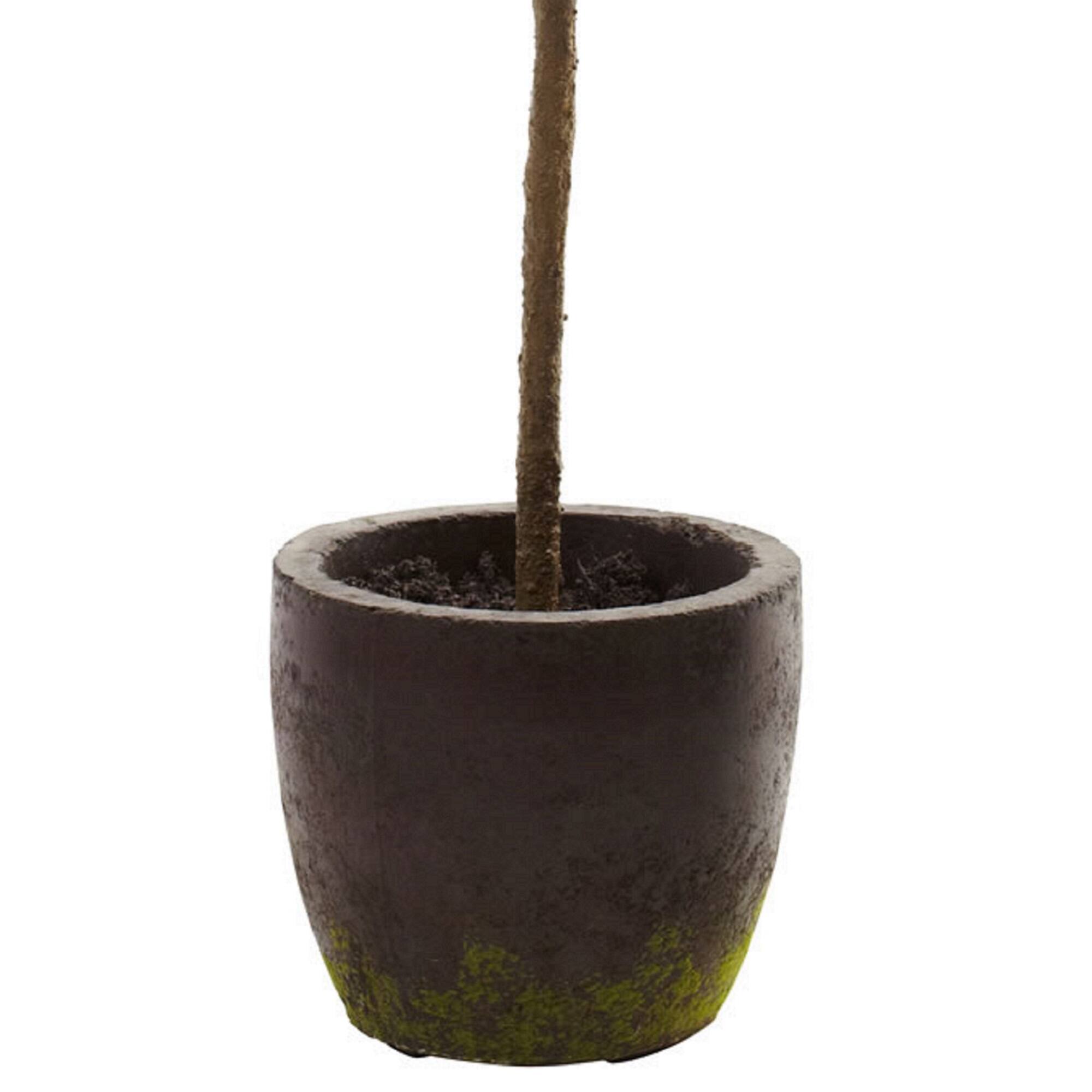 2.5ft. Topiary in Decorative Planter